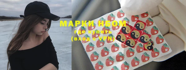 спиды Аркадак