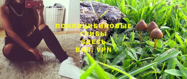 спиды Аркадак