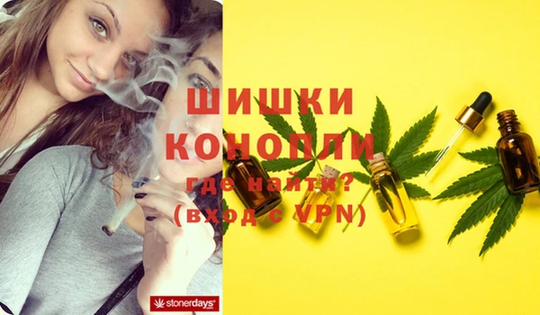 спиды Аркадак