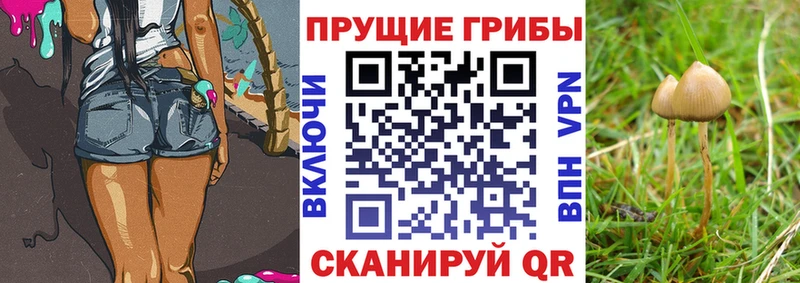 Галлюциногенные грибы GOLDEN TEACHER  Аша 