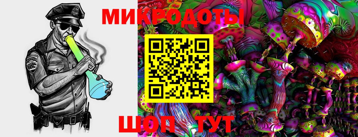 Псилоцибиновые грибы Аша